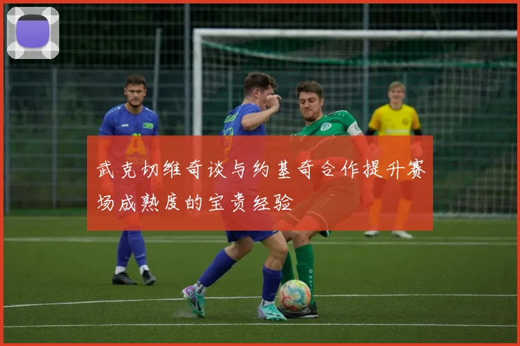 武克切维奇谈与约基奇合作提升赛场成熟度的宝贵经验